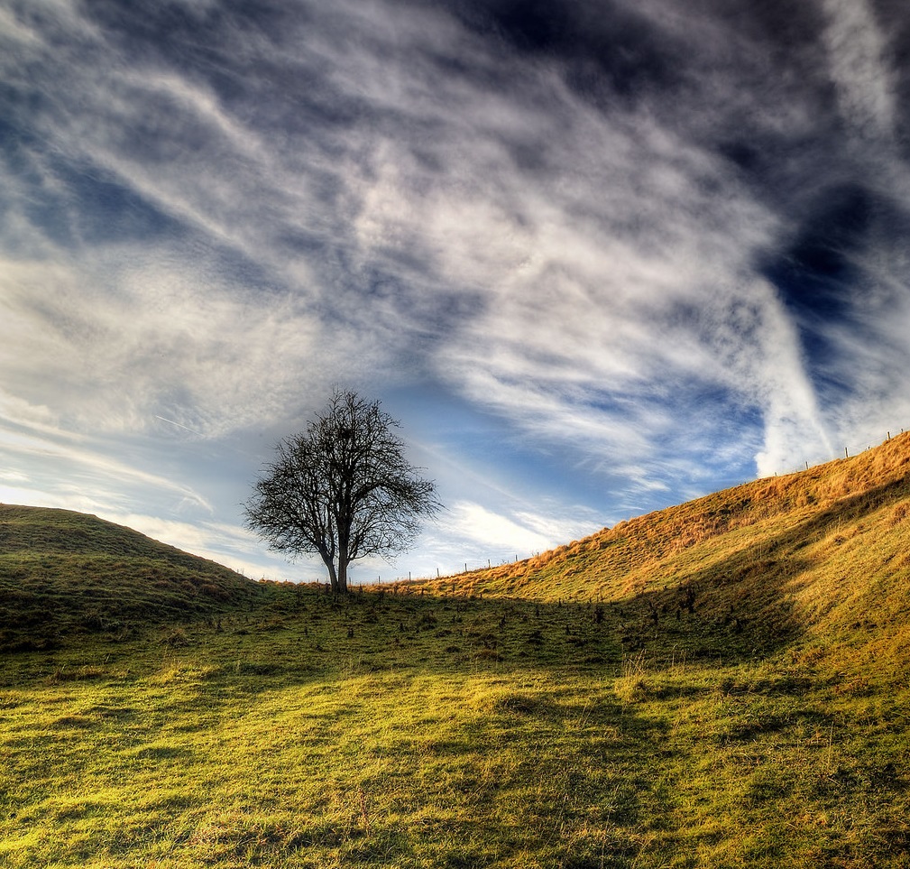 Nick Holland: The Ridgeway